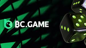 How to Log In to Your BC.Game Account -798529870